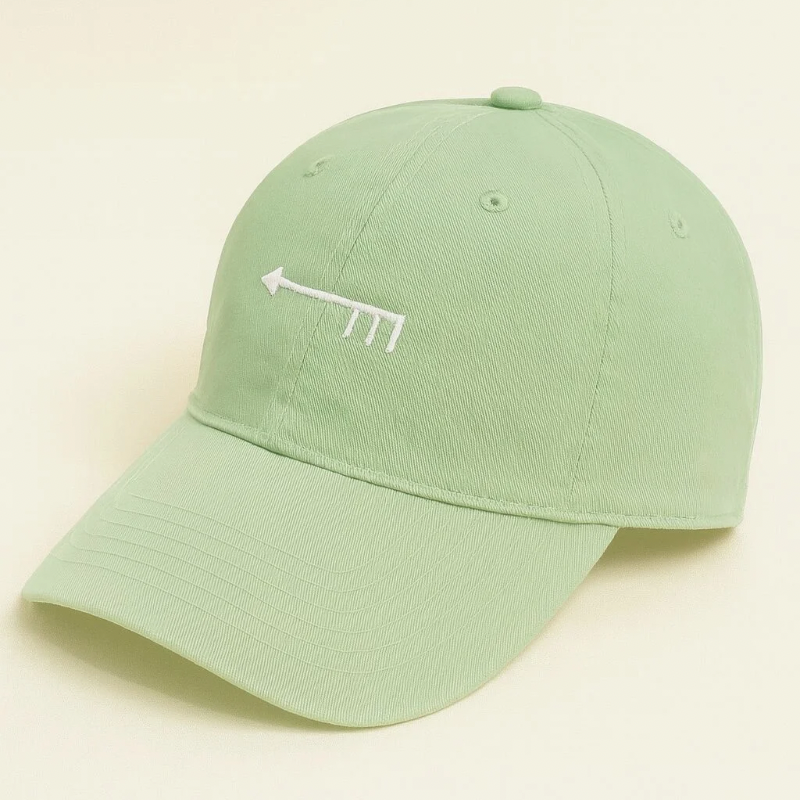 Gorra de algodón perfil bajo